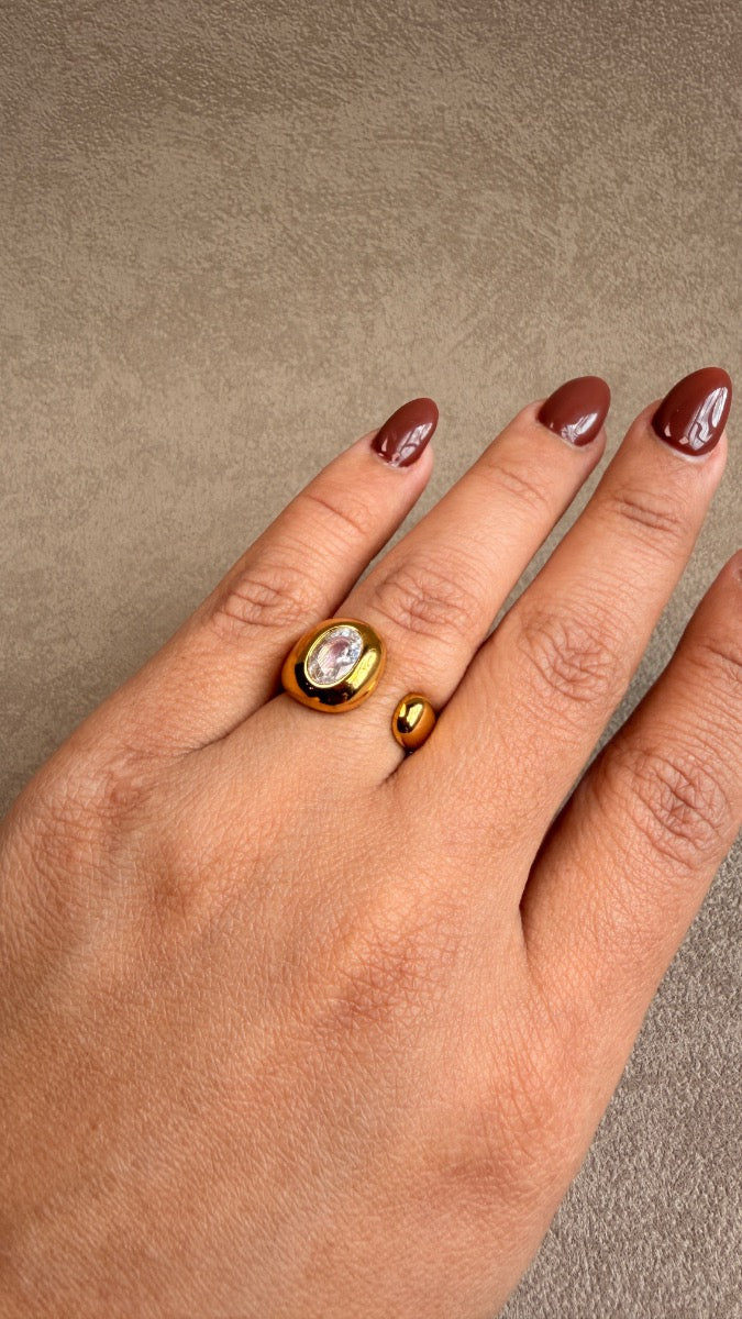 Anillos