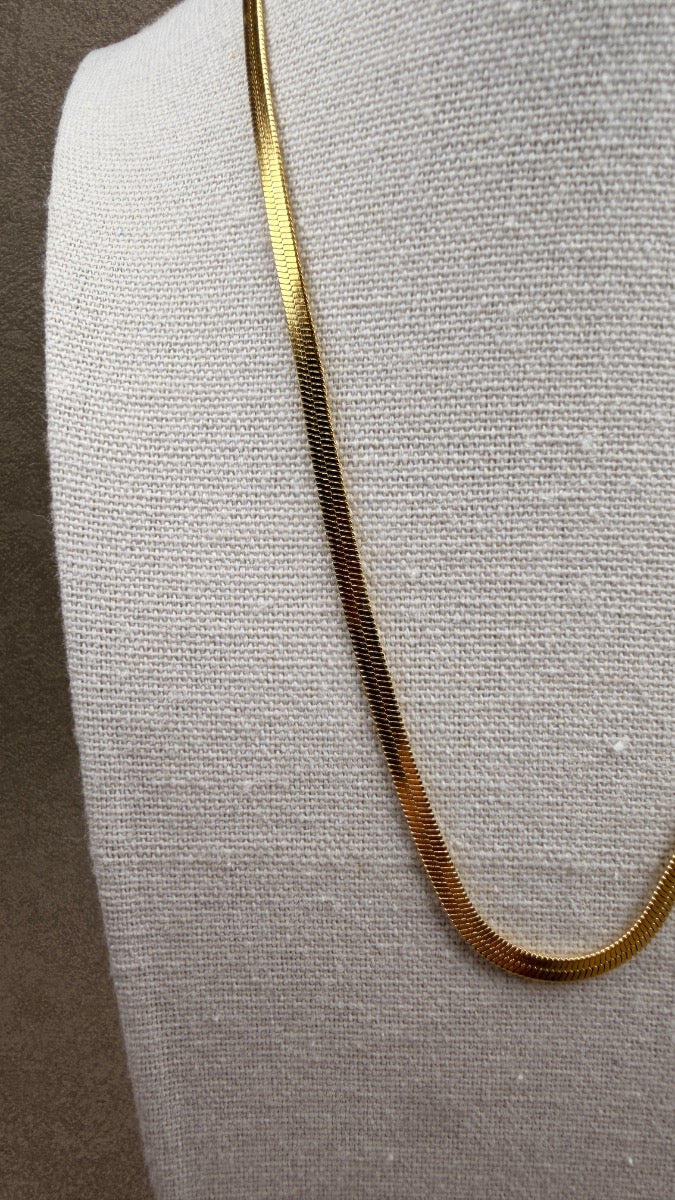 Collar snake Gold 💫