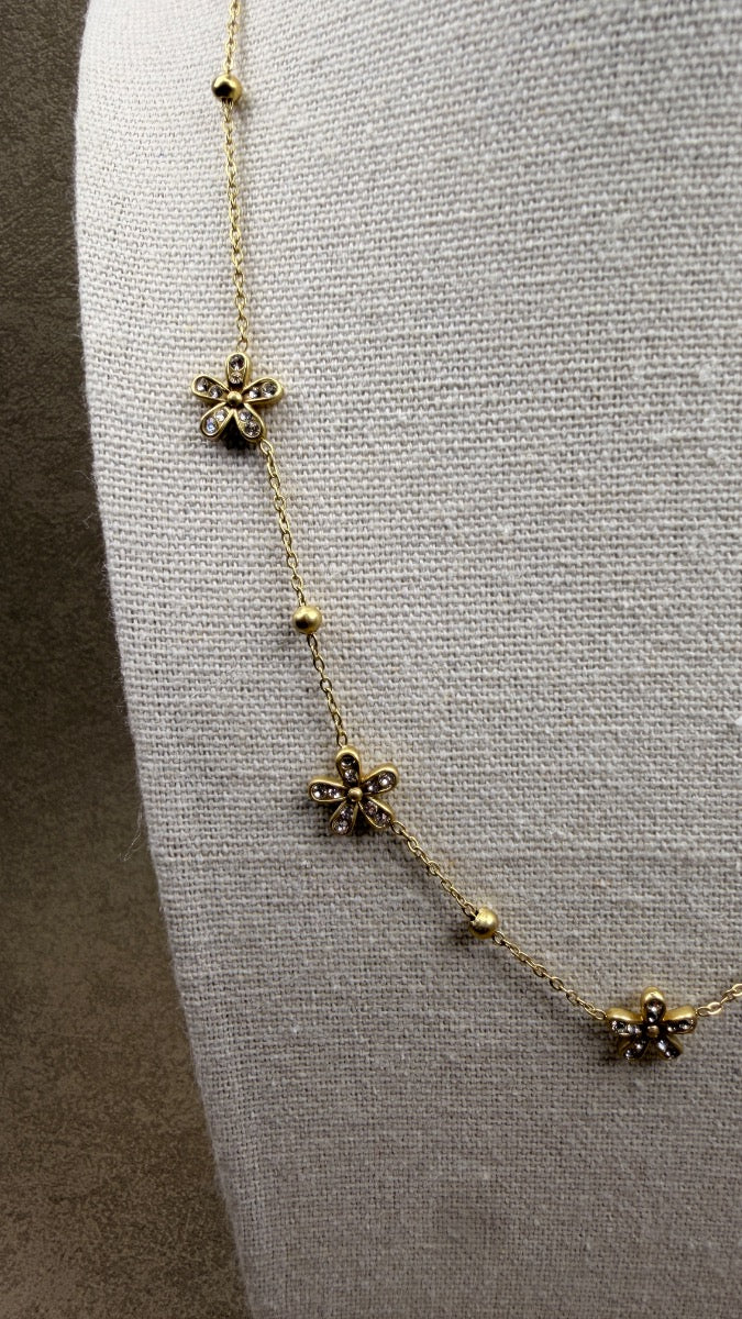 Collar Daisy Chine